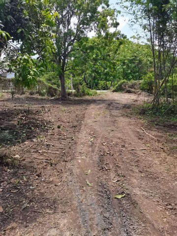 ประกาศฟรี! ซื้อ-ขาย-เช่า คอนโด บ้าน ทาวน์โฮม ที่ดิน และพื้นที่เชิงพาณิชย์ทั่วประเทศไทย ทุกทำเล ทุกงบประมาณ ไม่มีค่าใช้จ่าย ลงง่าย ขายไว เข้าถึงผู้ซื้อโดยตรง 4 257324pic3.jpg