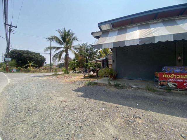 ประกาศฟรี! ซื้อ-ขาย-เช่า คอนโด บ้าน ทาวน์โฮม ที่ดิน และพื้นที่เชิงพาณิชย์ทั่วประเทศไทย ทุกทำเล ทุกงบประมาณ ไม่มีค่าใช้จ่าย ลงง่าย ขายไว เข้าถึงผู้ซื้อโดยตรง 5 257325pic4.jpg