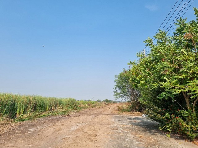 ประกาศฟรี! ซื้อ-ขาย-เช่า คอนโด บ้าน ทาวน์โฮม ที่ดิน และพื้นที่เชิงพาณิชย์ทั่วประเทศไทย ทุกทำเล ทุกงบประมาณ ไม่มีค่าใช้จ่าย ลงง่าย ขายไว เข้าถึงผู้ซื้อโดยตรง 4 507229pic3.jpg