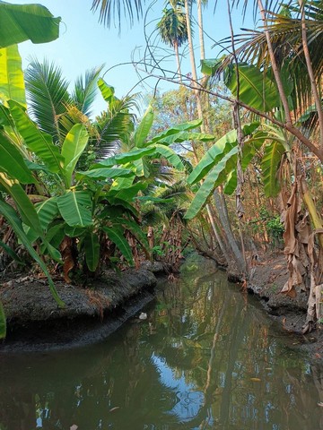 ประกาศฟรี! ซื้อ-ขาย-เช่า คอนโด บ้าน ทาวน์โฮม ที่ดิน และพื้นที่เชิงพาณิชย์ทั่วประเทศไทย ทุกทำเล ทุกงบประมาณ ไม่มีค่าใช้จ่าย ลงง่าย ขายไว เข้าถึงผู้ซื้อโดยตรง 4 14363pic3.jpg