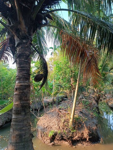 ประกาศฟรี! ซื้อ-ขาย-เช่า คอนโด บ้าน ทาวน์โฮม ที่ดิน และพื้นที่เชิงพาณิชย์ทั่วประเทศไทย ทุกทำเล ทุกงบประมาณ ไม่มีค่าใช้จ่าย ลงง่าย ขายไว เข้าถึงผู้ซื้อโดยตรง 5 14363pic4.jpg