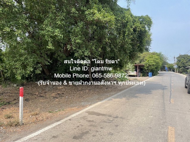 ประกาศฟรี! ซื้อ-ขาย-เช่า คอนโด บ้าน ทาวน์โฮม ที่ดิน และพื้นที่เชิงพาณิชย์ทั่วประเทศไทย ทุกทำเล ทุกงบประมาณ ไม่มีค่าใช้จ่าย ลงง่าย ขายไว เข้าถึงผู้ซื้อโดยตรง 4 14360pic3.jpg