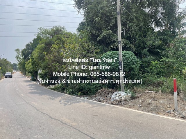 ประกาศฟรี! ซื้อ-ขาย-เช่า คอนโด บ้าน ทาวน์โฮม ที่ดิน และพื้นที่เชิงพาณิชย์ทั่วประเทศไทย ทุกทำเล ทุกงบประมาณ ไม่มีค่าใช้จ่าย ลงง่าย ขายไว เข้าถึงผู้ซื้อโดยตรง 5 14360pic4.jpg