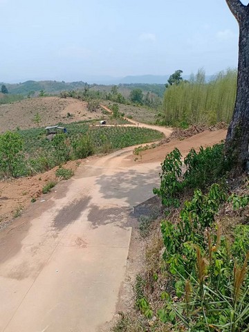 ประกาศฟรี! ซื้อ-ขาย-เช่า คอนโด บ้าน ทาวน์โฮม ที่ดิน และพื้นที่เชิงพาณิชย์ทั่วประเทศไทย ทุกทำเล ทุกงบประมาณ ไม่มีค่าใช้จ่าย ลงง่าย ขายไว เข้าถึงผู้ซื้อโดยตรง 2 14358pic1.jpg