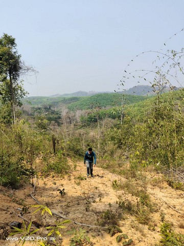 ประกาศฟรี! ซื้อ-ขาย-เช่า คอนโด บ้าน ทาวน์โฮม ที่ดิน และพื้นที่เชิงพาณิชย์ทั่วประเทศไทย ทุกทำเล ทุกงบประมาณ ไม่มีค่าใช้จ่าย ลงง่าย ขายไว เข้าถึงผู้ซื้อโดยตรง 3 14357pic2.jpg