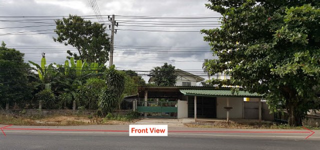 ประกาศฟรี! ซื้อ-ขาย-เช่า คอนโด บ้าน ทาวน์โฮม ที่ดิน และพื้นที่เชิงพาณิชย์ทั่วประเทศไทย ทุกทำเล ทุกงบประมาณ ไม่มีค่าใช้จ่าย ลงง่าย ขายไว เข้าถึงผู้ซื้อโดยตรง 5 13997pic4.jpg