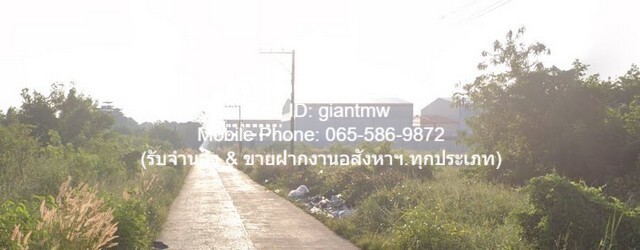 ประกาศฟรี! ซื้อ-ขาย-เช่า คอนโด บ้าน ทาวน์โฮม ที่ดิน และพื้นที่เชิงพาณิชย์ทั่วประเทศไทย ทุกทำเล ทุกงบประมาณ ไม่มีค่าใช้จ่าย ลงง่าย ขายไว เข้าถึงผู้ซื้อโดยตรง 4 13726pic3.jpg