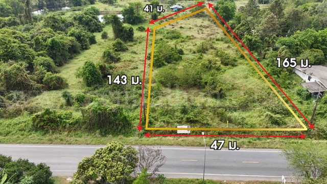 ประกาศฟรี! ซื้อ-ขาย-เช่า คอนโด บ้าน ทาวน์โฮม ที่ดิน และพื้นที่เชิงพาณิชย์ทั่วประเทศไทย ทุกทำเล ทุกงบประมาณ ไม่มีค่าใช้จ่าย ลงง่าย ขายไว เข้าถึงผู้ซื้อโดยตรง 2 257348pic1.jpg