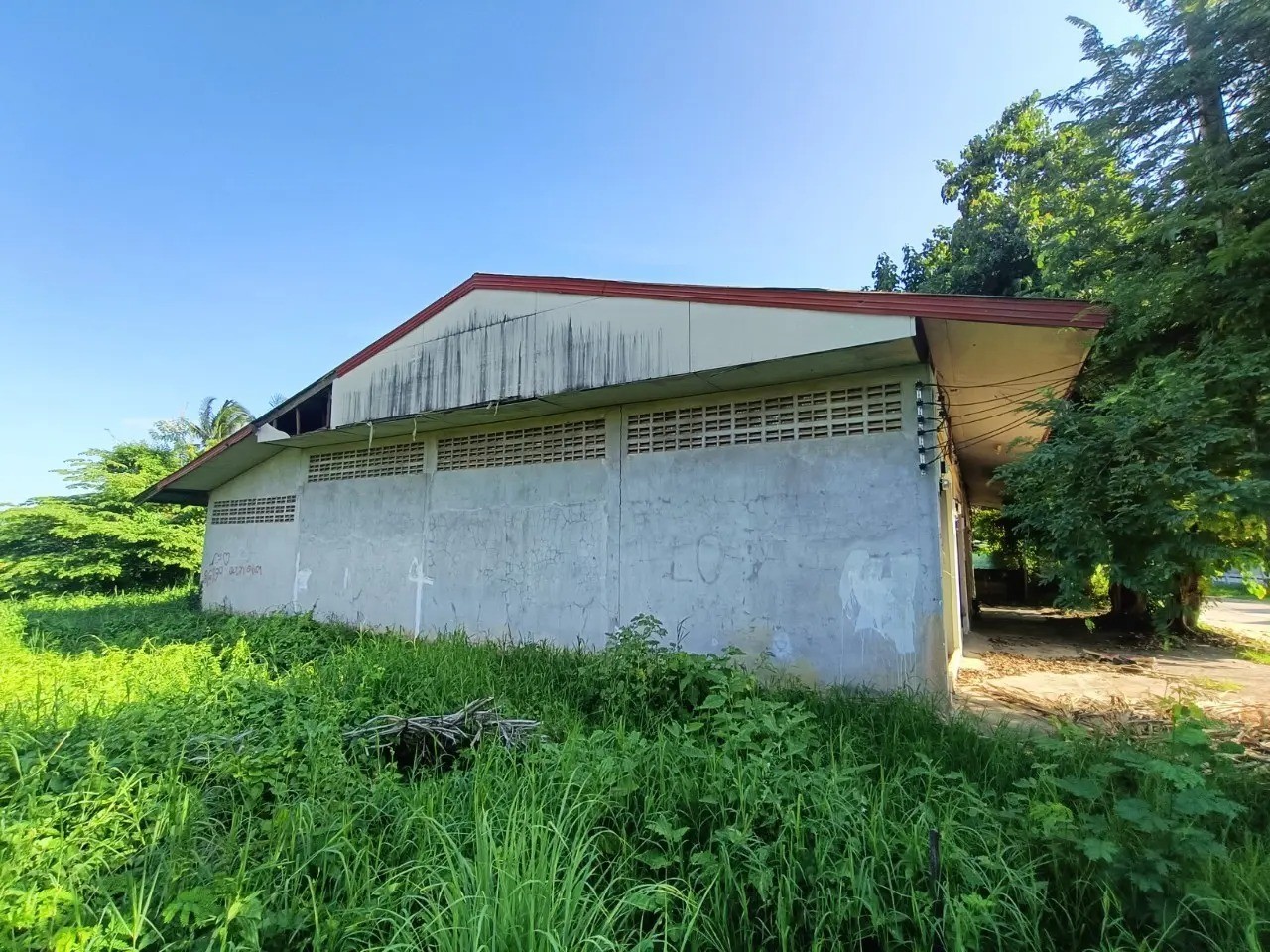 ประกาศฟรี! ซื้อ-ขาย-เช่า คอนโด บ้าน ทาวน์โฮม ที่ดิน และพื้นที่เชิงพาณิชย์ทั่วประเทศไทย ทุกทำเล ทุกงบประมาณ ไม่มีค่าใช้จ่าย ลงง่าย ขายไว เข้าถึงผู้ซื้อโดยตรง 4 256624pic3.jpg