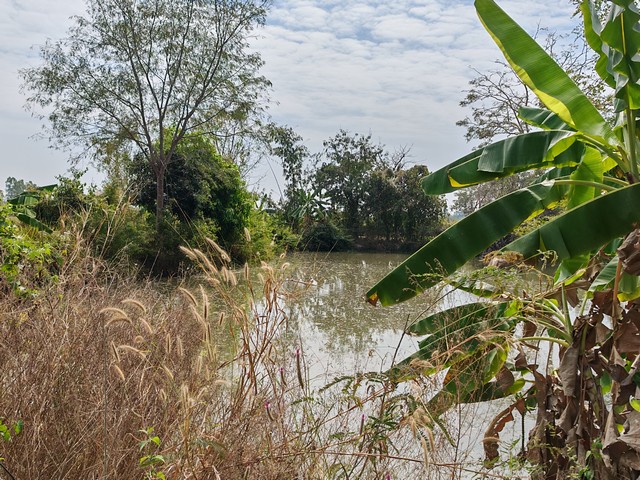 ประกาศฟรี! ซื้อ-ขาย-เช่า คอนโด บ้าน ทาวน์โฮม ที่ดิน และพื้นที่เชิงพาณิชย์ทั่วประเทศไทย ทุกทำเล ทุกงบประมาณ ไม่มีค่าใช้จ่าย ลงง่าย ขายไว เข้าถึงผู้ซื้อโดยตรง 3 258075pic2.jpg