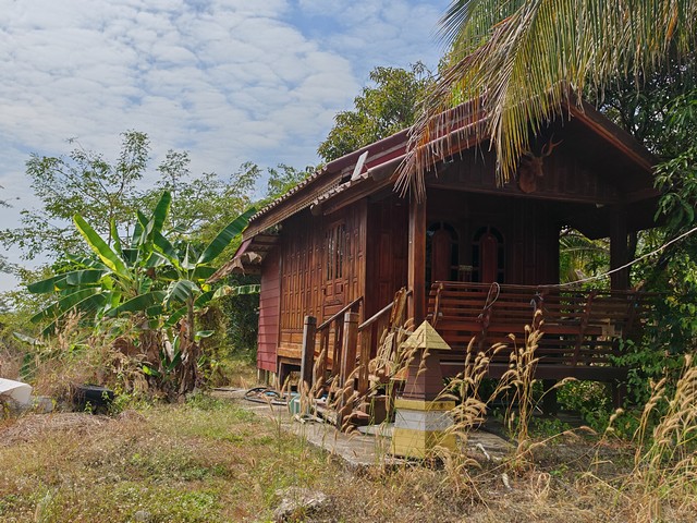 ประกาศฟรี! ซื้อ-ขาย-เช่า คอนโด บ้าน ทาวน์โฮม ที่ดิน และพื้นที่เชิงพาณิชย์ทั่วประเทศไทย ทุกทำเล ทุกงบประมาณ ไม่มีค่าใช้จ่าย ลงง่าย ขายไว เข้าถึงผู้ซื้อโดยตรง 4 258075pic3.jpg