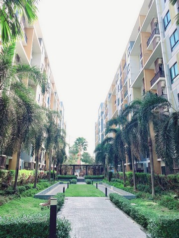 ประกาศฟรี! ซื้อ-ขาย-เช่า คอนโด บ้าน ทาวน์โฮม ที่ดิน และพื้นที่เชิงพาณิชย์ทั่วประเทศไทย ทุกทำเล ทุกงบประมาณ ไม่มีค่าใช้จ่าย ลงง่าย ขายไว เข้าถึงผู้ซื้อโดยตรง 5 317234pic4.jpg