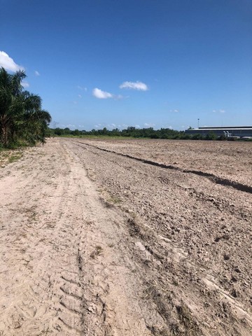 ประกาศฟรี! ซื้อ-ขาย-เช่า คอนโด บ้าน ทาวน์โฮม ที่ดิน และพื้นที่เชิงพาณิชย์ทั่วประเทศไทย ทุกทำเล ทุกงบประมาณ ไม่มีค่าใช้จ่าย ลงง่าย ขายไว เข้าถึงผู้ซื้อโดยตรง 2 317205pic1.jpg