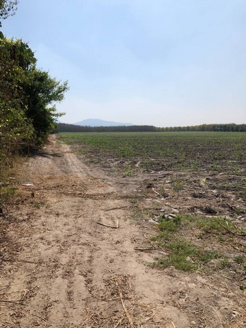 ประกาศฟรี! ซื้อ-ขาย-เช่า คอนโด บ้าน ทาวน์โฮม ที่ดิน และพื้นที่เชิงพาณิชย์ทั่วประเทศไทย ทุกทำเล ทุกงบประมาณ ไม่มีค่าใช้จ่าย ลงง่าย ขายไว เข้าถึงผู้ซื้อโดยตรง 3 317205pic2.jpg