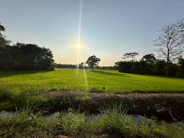 ประกาศฟรี! ซื้อ-ขาย-เช่า คอนโด บ้าน ทาวน์โฮม ที่ดิน และพื้นที่เชิงพาณิชย์ทั่วประเทศไทย ทุกทำเล ทุกงบประมาณ ไม่มีค่าใช้จ่าย ลงง่าย ขายไว เข้าถึงผู้ซื้อโดยตรง 3 258069pic2.jpg