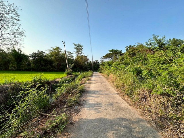 ประกาศฟรี! ซื้อ-ขาย-เช่า คอนโด บ้าน ทาวน์โฮม ที่ดิน และพื้นที่เชิงพาณิชย์ทั่วประเทศไทย ทุกทำเล ทุกงบประมาณ ไม่มีค่าใช้จ่าย ลงง่าย ขายไว เข้าถึงผู้ซื้อโดยตรง 4 258069pic3.jpg