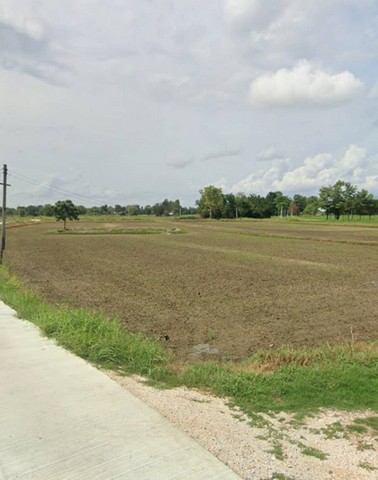 ประกาศฟรี! ซื้อ-ขาย-เช่า คอนโด บ้าน ทาวน์โฮม ที่ดิน และพื้นที่เชิงพาณิชย์ทั่วประเทศไทย ทุกทำเล ทุกงบประมาณ ไม่มีค่าใช้จ่าย ลงง่าย ขายไว เข้าถึงผู้ซื้อโดยตรง 2 258132pic1.jpg