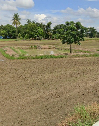 ประกาศฟรี! ซื้อ-ขาย-เช่า คอนโด บ้าน ทาวน์โฮม ที่ดิน และพื้นที่เชิงพาณิชย์ทั่วประเทศไทย ทุกทำเล ทุกงบประมาณ ไม่มีค่าใช้จ่าย ลงง่าย ขายไว เข้าถึงผู้ซื้อโดยตรง 3 258132pic2.jpg