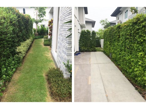 ประกาศฟรี! ซื้อ-ขาย-เช่า คอนโด บ้าน ทาวน์โฮม ที่ดิน และพื้นที่เชิงพาณิชย์ทั่วประเทศไทย ทุกทำเล ทุกงบประมาณ ไม่มีค่าใช้จ่าย ลงง่าย ขายไว เข้าถึงผู้ซื้อโดยตรง 3 315341pic2.jpg