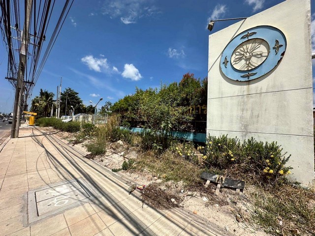 ประกาศฟรี! ซื้อ-ขาย-เช่า คอนโด บ้าน ทาวน์โฮม ที่ดิน และพื้นที่เชิงพาณิชย์ทั่วประเทศไทย ทุกทำเล ทุกงบประมาณ ไม่มีค่าใช้จ่าย ลงง่าย ขายไว เข้าถึงผู้ซื้อโดยตรง 2 317263pic1.jpg