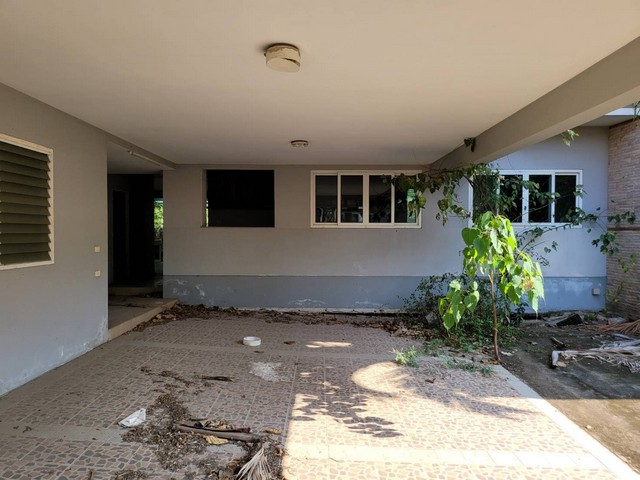 ประกาศฟรี! ซื้อ-ขาย-เช่า คอนโด บ้าน ทาวน์โฮม ที่ดิน และพื้นที่เชิงพาณิชย์ทั่วประเทศไทย ทุกทำเล ทุกงบประมาณ ไม่มีค่าใช้จ่าย ลงง่าย ขายไว เข้าถึงผู้ซื้อโดยตรง 5 257162pic4.jpg