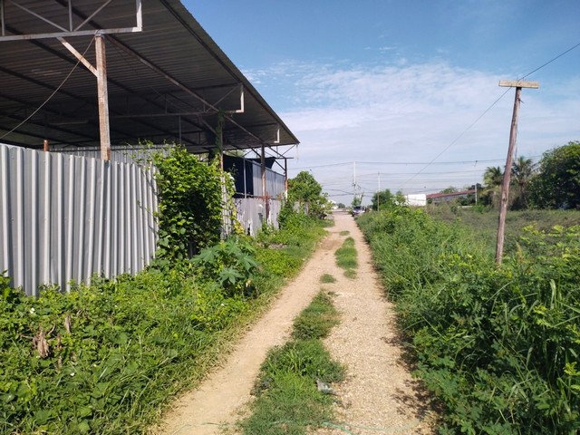 ประกาศฟรี! ซื้อ-ขาย-เช่า คอนโด บ้าน ทาวน์โฮม ที่ดิน และพื้นที่เชิงพาณิชย์ทั่วประเทศไทย ทุกทำเล ทุกงบประมาณ ไม่มีค่าใช้จ่าย ลงง่าย ขายไว เข้าถึงผู้ซื้อโดยตรง 4 472359pic3.jpg