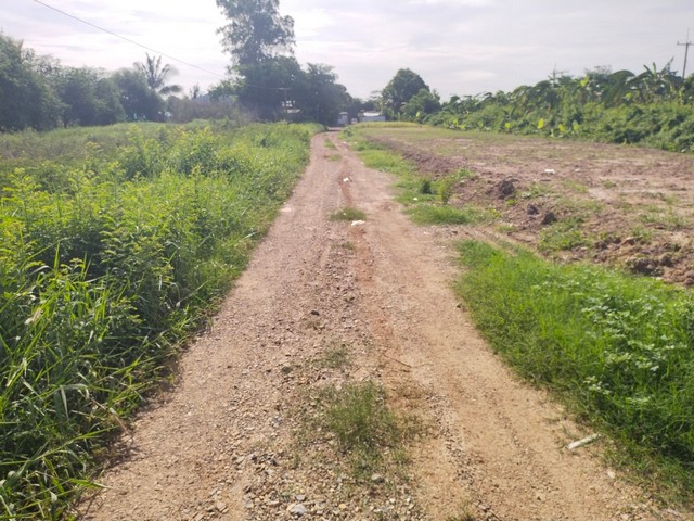 ประกาศฟรี! ซื้อ-ขาย-เช่า คอนโด บ้าน ทาวน์โฮม ที่ดิน และพื้นที่เชิงพาณิชย์ทั่วประเทศไทย ทุกทำเล ทุกงบประมาณ ไม่มีค่าใช้จ่าย ลงง่าย ขายไว เข้าถึงผู้ซื้อโดยตรง 5 472359pic4.jpg