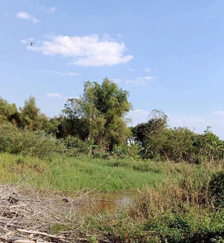 ประกาศฟรี! ซื้อ-ขาย-เช่า คอนโด บ้าน ทาวน์โฮม ที่ดิน และพื้นที่เชิงพาณิชย์ทั่วประเทศไทย ทุกทำเล ทุกงบประมาณ ไม่มีค่าใช้จ่าย ลงง่าย ขายไว เข้าถึงผู้ซื้อโดยตรง 4 258047pic3.jpg