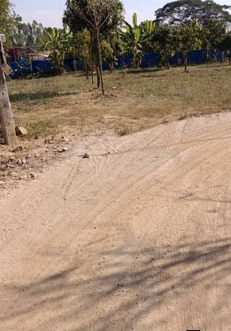 ประกาศฟรี! ซื้อ-ขาย-เช่า คอนโด บ้าน ทาวน์โฮม ที่ดิน และพื้นที่เชิงพาณิชย์ทั่วประเทศไทย ทุกทำเล ทุกงบประมาณ ไม่มีค่าใช้จ่าย ลงง่าย ขายไว เข้าถึงผู้ซื้อโดยตรง 5 258047pic4.jpg