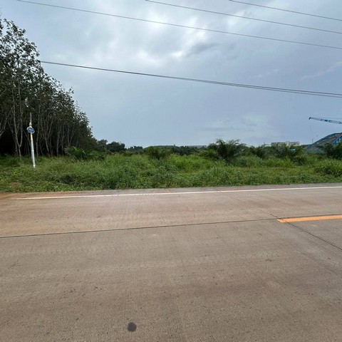 ประกาศฟรี! ซื้อ-ขาย-เช่า คอนโด บ้าน ทาวน์โฮม ที่ดิน และพื้นที่เชิงพาณิชย์ทั่วประเทศไทย ทุกทำเล ทุกงบประมาณ ไม่มีค่าใช้จ่าย ลงง่าย ขายไว เข้าถึงผู้ซื้อโดยตรง 3 258042pic2.jpg