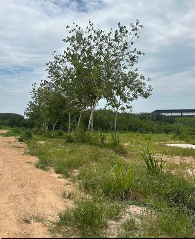 ประกาศฟรี! ซื้อ-ขาย-เช่า คอนโด บ้าน ทาวน์โฮม ที่ดิน และพื้นที่เชิงพาณิชย์ทั่วประเทศไทย ทุกทำเล ทุกงบประมาณ ไม่มีค่าใช้จ่าย ลงง่าย ขายไว เข้าถึงผู้ซื้อโดยตรง 5 258042pic4.jpg