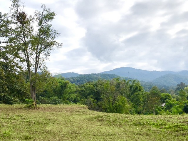 ประกาศฟรี! ซื้อ-ขาย-เช่า คอนโด บ้าน ทาวน์โฮม ที่ดิน และพื้นที่เชิงพาณิชย์ทั่วประเทศไทย ทุกทำเล ทุกงบประมาณ ไม่มีค่าใช้จ่าย ลงง่าย ขายไว เข้าถึงผู้ซื้อโดยตรง 2 258143pic1.jpg