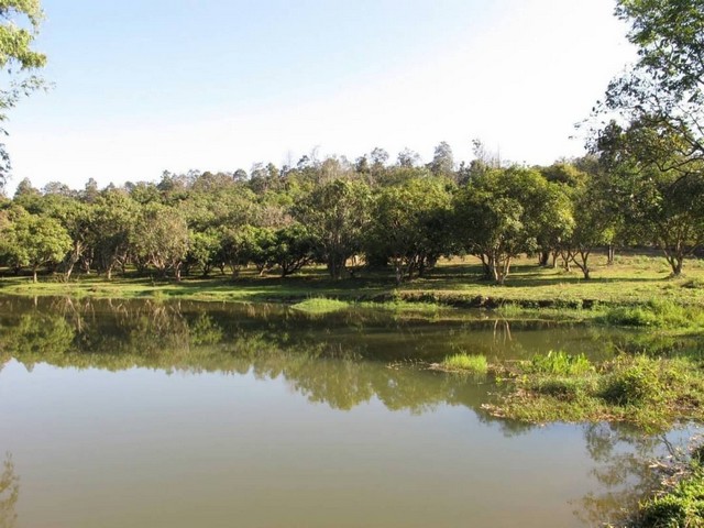 ประกาศฟรี! ซื้อ-ขาย-เช่า คอนโด บ้าน ทาวน์โฮม ที่ดิน และพื้นที่เชิงพาณิชย์ทั่วประเทศไทย ทุกทำเล ทุกงบประมาณ ไม่มีค่าใช้จ่าย ลงง่าย ขายไว เข้าถึงผู้ซื้อโดยตรง 4 258143pic3.jpg