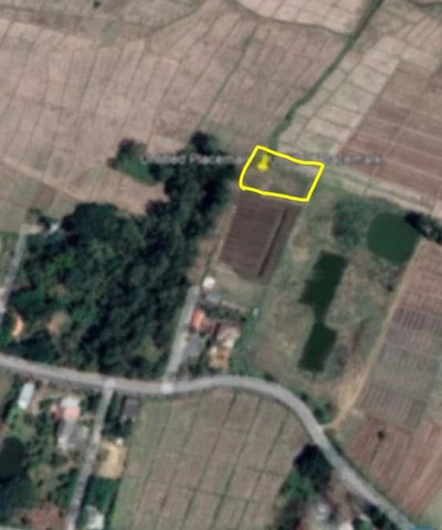 ประกาศฟรี! ซื้อ-ขาย-เช่า คอนโด บ้าน ทาวน์โฮม ที่ดิน และพื้นที่เชิงพาณิชย์ทั่วประเทศไทย ทุกทำเล ทุกงบประมาณ ไม่มีค่าใช้จ่าย ลงง่าย ขายไว เข้าถึงผู้ซื้อโดยตรง 2 258142pic1.jpg