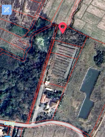 ประกาศฟรี! ซื้อ-ขาย-เช่า คอนโด บ้าน ทาวน์โฮม ที่ดิน และพื้นที่เชิงพาณิชย์ทั่วประเทศไทย ทุกทำเล ทุกงบประมาณ ไม่มีค่าใช้จ่าย ลงง่าย ขายไว เข้าถึงผู้ซื้อโดยตรง 3 258142pic2.jpg