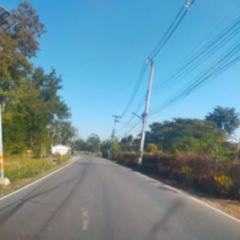 ประกาศฟรี! ซื้อ-ขาย-เช่า คอนโด บ้าน ทาวน์โฮม ที่ดิน และพื้นที่เชิงพาณิชย์ทั่วประเทศไทย ทุกทำเล ทุกงบประมาณ ไม่มีค่าใช้จ่าย ลงง่าย ขายไว เข้าถึงผู้ซื้อโดยตรง 4 258142pic3.jpg