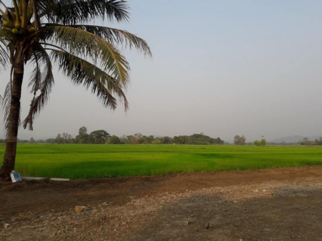 ประกาศฟรี! ซื้อ-ขาย-เช่า คอนโด บ้าน ทาวน์โฮม ที่ดิน และพื้นที่เชิงพาณิชย์ทั่วประเทศไทย ทุกทำเล ทุกงบประมาณ ไม่มีค่าใช้จ่าย ลงง่าย ขายไว เข้าถึงผู้ซื้อโดยตรง 5 258142pic4.jpg