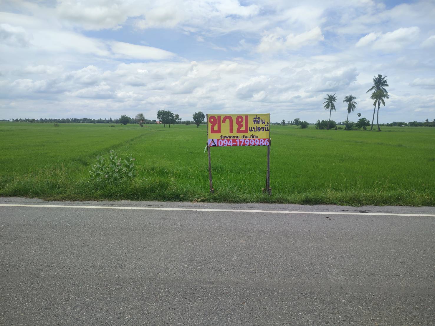 ประกาศฟรี! ซื้อ-ขาย-เช่า คอนโด บ้าน ทาวน์โฮม ที่ดิน และพื้นที่เชิงพาณิชย์ทั่วประเทศไทย ทุกทำเล ทุกงบประมาณ ไม่มีค่าใช้จ่าย ลงง่าย ขายไว เข้าถึงผู้ซื้อโดยตรง 2 293491pic1.jpg