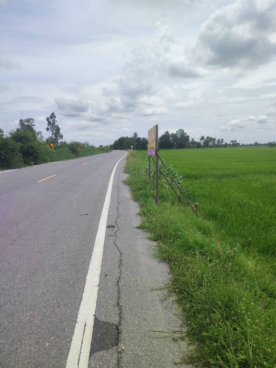 ประกาศฟรี! ซื้อ-ขาย-เช่า คอนโด บ้าน ทาวน์โฮม ที่ดิน และพื้นที่เชิงพาณิชย์ทั่วประเทศไทย ทุกทำเล ทุกงบประมาณ ไม่มีค่าใช้จ่าย ลงง่าย ขายไว เข้าถึงผู้ซื้อโดยตรง 3 293491pic2.jpg