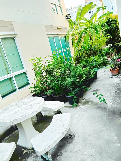 ประกาศฟรี! ซื้อ-ขาย-เช่า คอนโด บ้าน ทาวน์โฮม ที่ดิน และพื้นที่เชิงพาณิชย์ทั่วประเทศไทย ทุกทำเล ทุกงบประมาณ ไม่มีค่าใช้จ่าย ลงง่าย ขายไว เข้าถึงผู้ซื้อโดยตรง 5 317191pic4.jpg