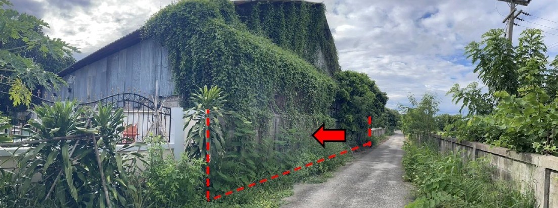 ประกาศฟรี! ซื้อ-ขาย-เช่า คอนโด บ้าน ทาวน์โฮม ที่ดิน และพื้นที่เชิงพาณิชย์ทั่วประเทศไทย ทุกทำเล ทุกงบประมาณ ไม่มีค่าใช้จ่าย ลงง่าย ขายไว เข้าถึงผู้ซื้อโดยตรง 2 257350pic1.jpg