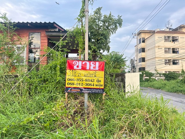 ประกาศฟรี! ซื้อ-ขาย-เช่า คอนโด บ้าน ทาวน์โฮม ที่ดิน และพื้นที่เชิงพาณิชย์ทั่วประเทศไทย ทุกทำเล ทุกงบประมาณ ไม่มีค่าใช้จ่าย ลงง่าย ขายไว เข้าถึงผู้ซื้อโดยตรง 2 518461pic1.jpg