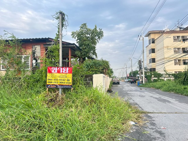 ประกาศฟรี! ซื้อ-ขาย-เช่า คอนโด บ้าน ทาวน์โฮม ที่ดิน และพื้นที่เชิงพาณิชย์ทั่วประเทศไทย ทุกทำเล ทุกงบประมาณ ไม่มีค่าใช้จ่าย ลงง่าย ขายไว เข้าถึงผู้ซื้อโดยตรง 3 518461pic2.jpg