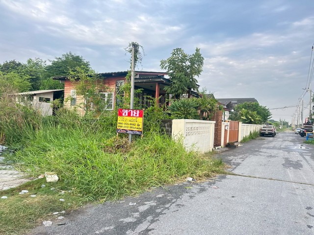 ประกาศฟรี! ซื้อ-ขาย-เช่า คอนโด บ้าน ทาวน์โฮม ที่ดิน และพื้นที่เชิงพาณิชย์ทั่วประเทศไทย ทุกทำเล ทุกงบประมาณ ไม่มีค่าใช้จ่าย ลงง่าย ขายไว เข้าถึงผู้ซื้อโดยตรง 4 518461pic3.jpg