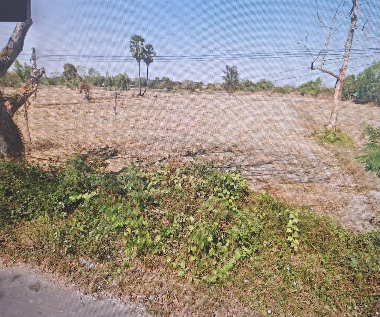 ประกาศฟรี! ซื้อ-ขาย-เช่า คอนโด บ้าน ทาวน์โฮม ที่ดิน และพื้นที่เชิงพาณิชย์ทั่วประเทศไทย ทุกทำเล ทุกงบประมาณ ไม่มีค่าใช้จ่าย ลงง่าย ขายไว เข้าถึงผู้ซื้อโดยตรง 2 291828pic1.jpg