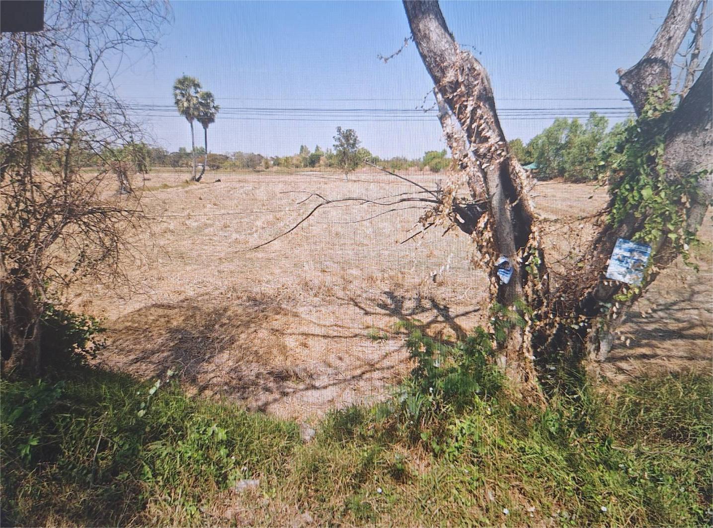 ประกาศฟรี! ซื้อ-ขาย-เช่า คอนโด บ้าน ทาวน์โฮม ที่ดิน และพื้นที่เชิงพาณิชย์ทั่วประเทศไทย ทุกทำเล ทุกงบประมาณ ไม่มีค่าใช้จ่าย ลงง่าย ขายไว เข้าถึงผู้ซื้อโดยตรง 5 291828pic4.jpg