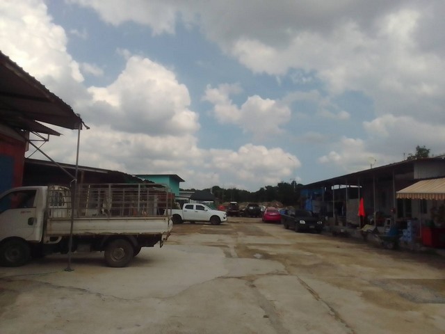 ประกาศฟรี! ซื้อ-ขาย-เช่า คอนโด บ้าน ทาวน์โฮม ที่ดิน และพื้นที่เชิงพาณิชย์ทั่วประเทศไทย ทุกทำเล ทุกงบประมาณ ไม่มีค่าใช้จ่าย ลงง่าย ขายไว เข้าถึงผู้ซื้อโดยตรง 3 13725pic2.jpg