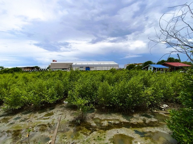 ประกาศฟรี! ซื้อ-ขาย-เช่า คอนโด บ้าน ทาวน์โฮม ที่ดิน และพื้นที่เชิงพาณิชย์ทั่วประเทศไทย ทุกทำเล ทุกงบประมาณ ไม่มีค่าใช้จ่าย ลงง่าย ขายไว เข้าถึงผู้ซื้อโดยตรง 3 317377pic2.jpg