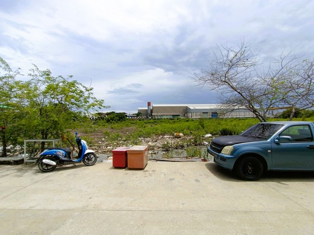 ประกาศฟรี! ซื้อ-ขาย-เช่า คอนโด บ้าน ทาวน์โฮม ที่ดิน และพื้นที่เชิงพาณิชย์ทั่วประเทศไทย ทุกทำเล ทุกงบประมาณ ไม่มีค่าใช้จ่าย ลงง่าย ขายไว เข้าถึงผู้ซื้อโดยตรง 5 317377pic4.jpg