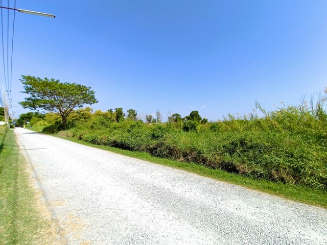 ประกาศฟรี! ซื้อ-ขาย-เช่า คอนโด บ้าน ทาวน์โฮม ที่ดิน และพื้นที่เชิงพาณิชย์ทั่วประเทศไทย ทุกทำเล ทุกงบประมาณ ไม่มีค่าใช้จ่าย ลงง่าย ขายไว เข้าถึงผู้ซื้อโดยตรง 4 317376pic3.jpg